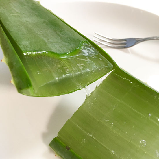 百香草 ニキビ 肌荒れ あせも 今日は アロエべラを食べてみました 公式 百香草ニキビモニター ニキビで悩むモニターさんの1年を公開 By百香草のアドム 公式 百香草ニキビモニター ニキビで悩むモニターさんの1年を公開 By百香草のアドム 百香草 ニキビ 肌荒れ あせも 今日は アロエべラを食べてみました 公式 百香草ニキビモニター ニキビで悩むモニターさんの1年を公開 By百香草のアドム 公式 百香草ニキビモニター ニキビで悩むモニターさんの1年を公開 By百香草のアドム