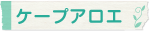 アロエベラ