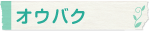 オウバク