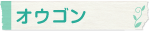 オウゴン